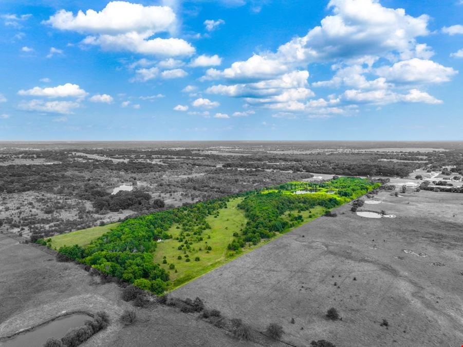 37.06 Acres for Sale