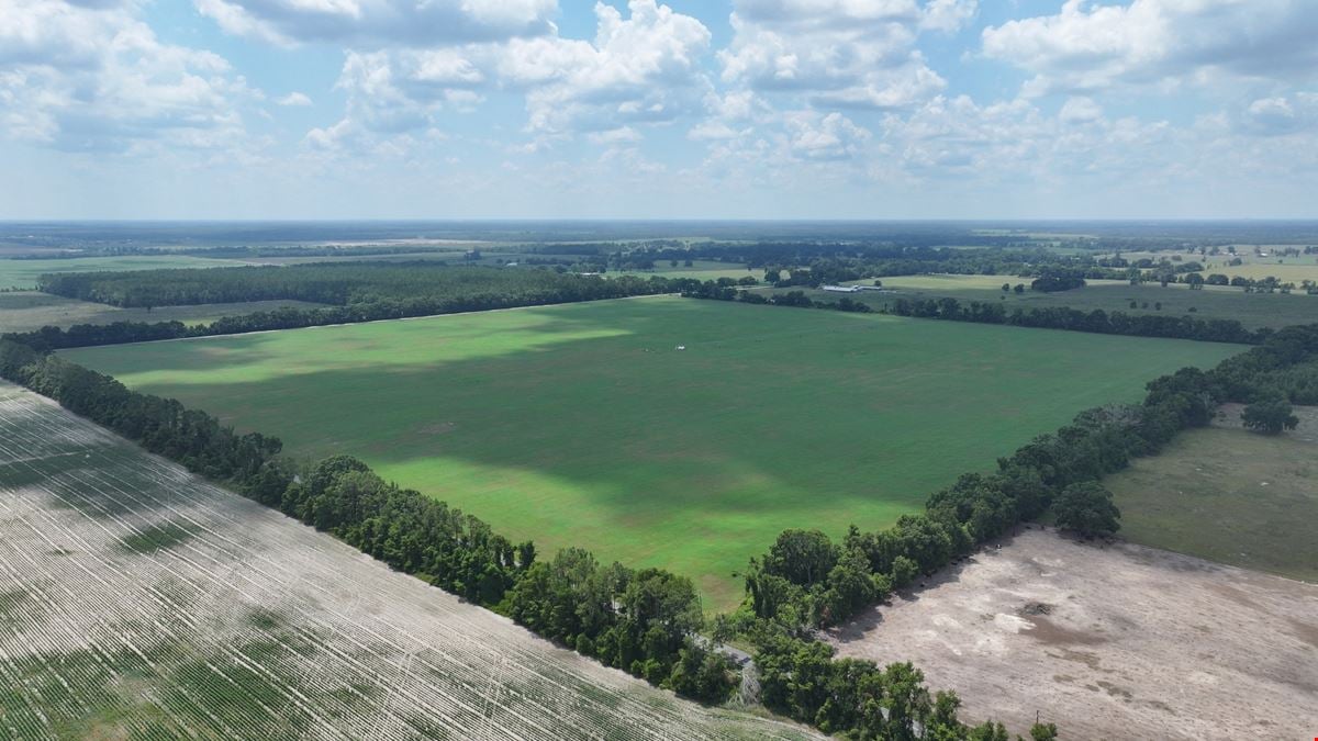 Suwannee County Quarter Section Farm