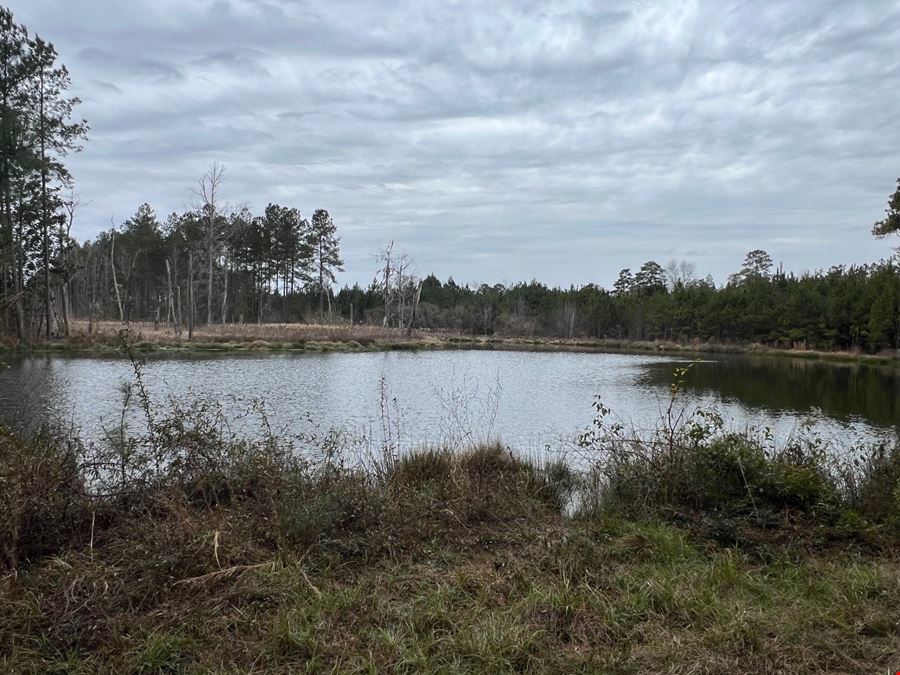 89 Acres in Early County, GA : Riverfront Property with Cabin and Outstanding Hunting Land