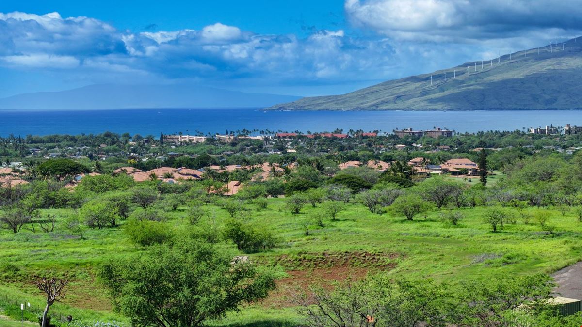 Maui Lipoa Commercial Lots 