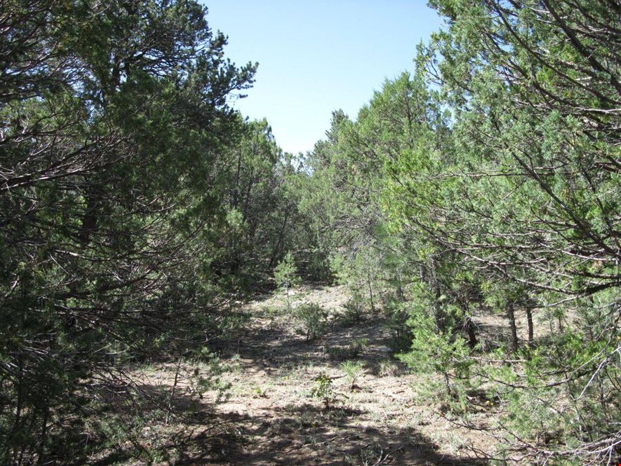 8 Roadrunner Rd
