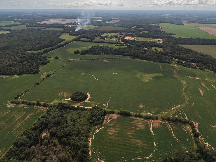 305.50 Acres Campbellton Land Development Opportunity