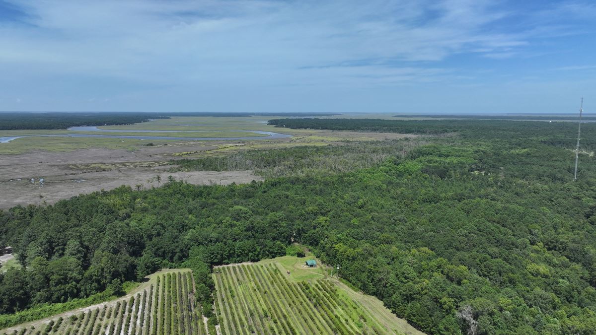 113 Marshfront Acres in McIntosh County Georgia