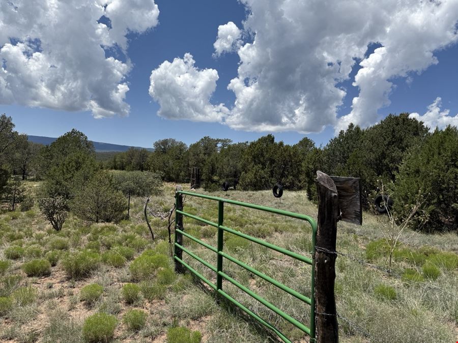 43-Acre Gated Hacienda-Style Oasis with Views