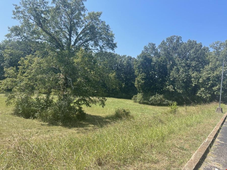 Paris, TN