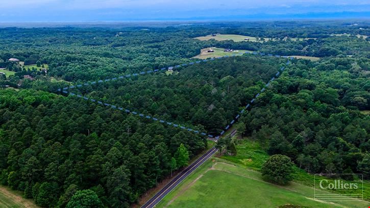 Estate Lots for Sale in Anderson County | ±5-Acre Minimum Lot Sizes