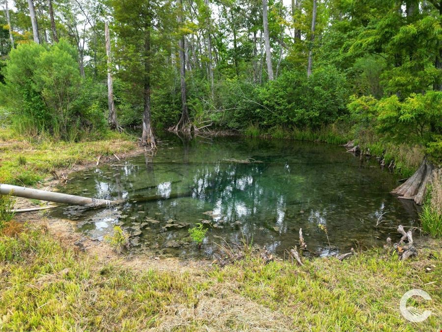 385 +/- Acre Rocky Creek Tract in Marianna, FL