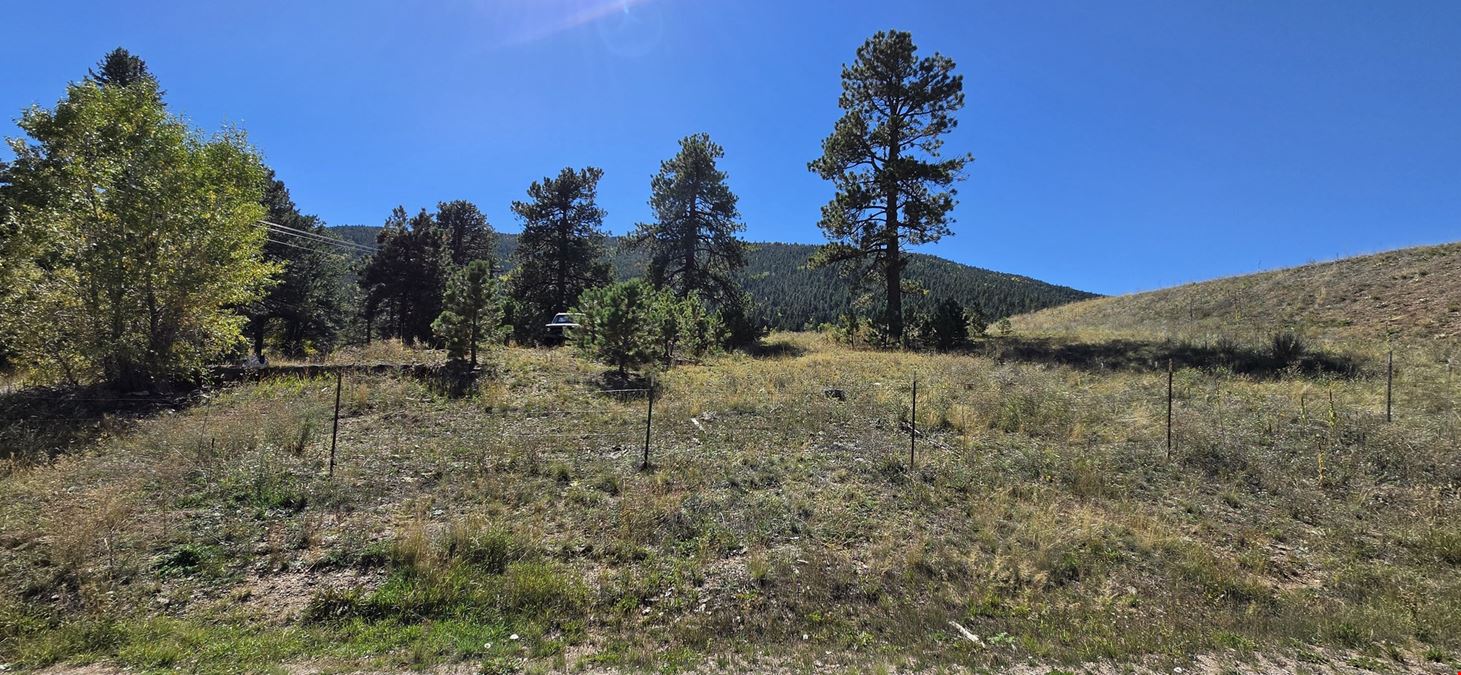TBD Conifer Road
