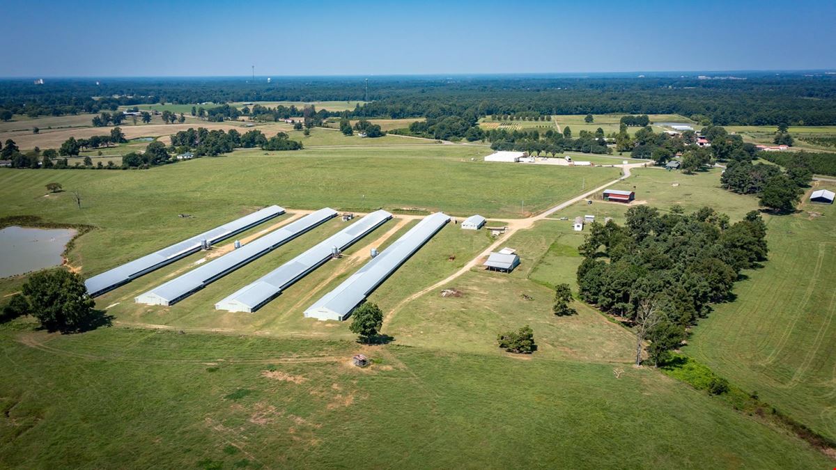 Hope Arkansas Chicken Farm