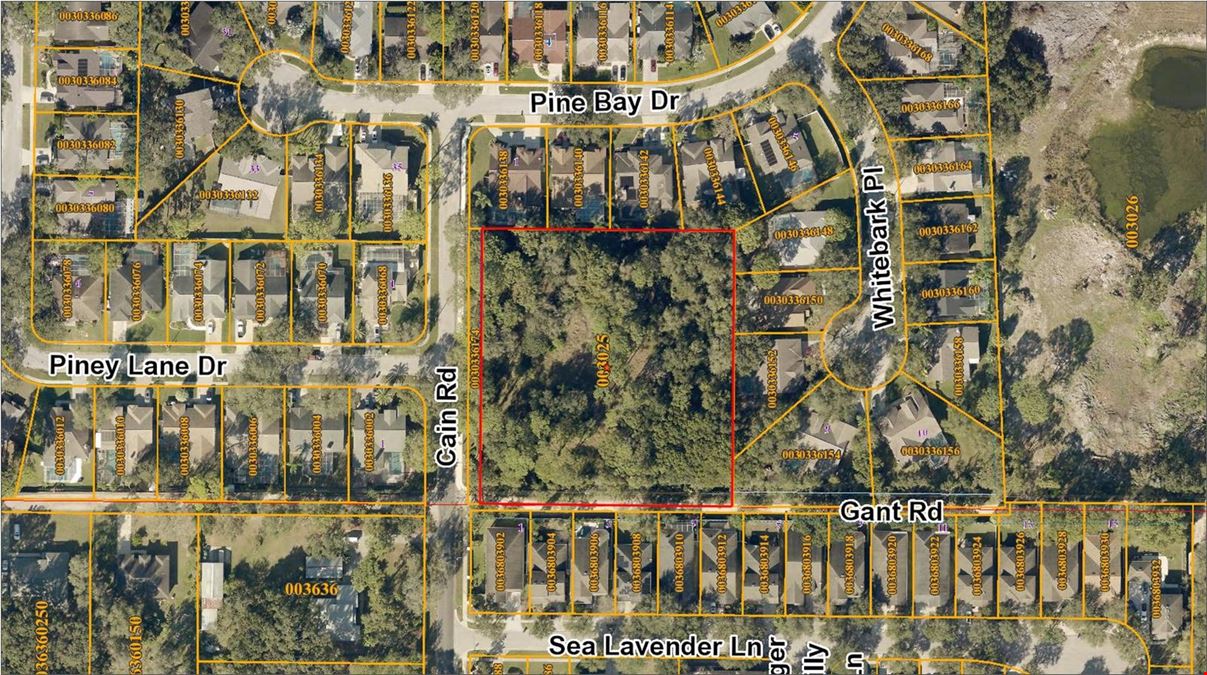 2.18 AC :: Residential land :: Citrus Park