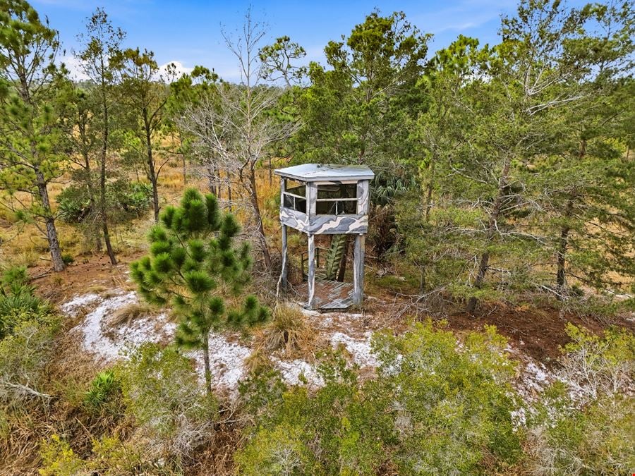 Bluefield Ranch Hunting Preserve
