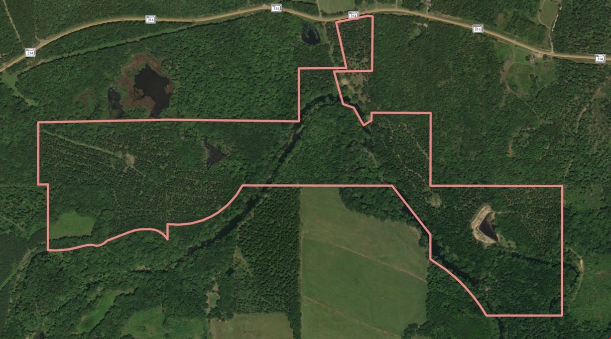 South Fourche Hunting, Fishing & Timber