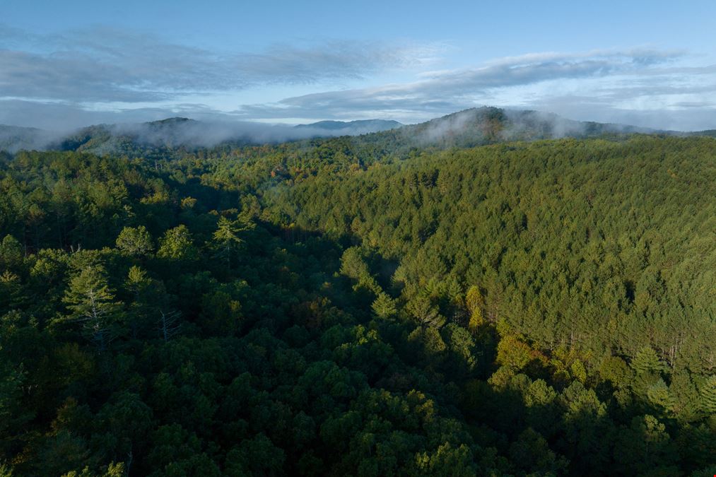1,429 Acres For Sale