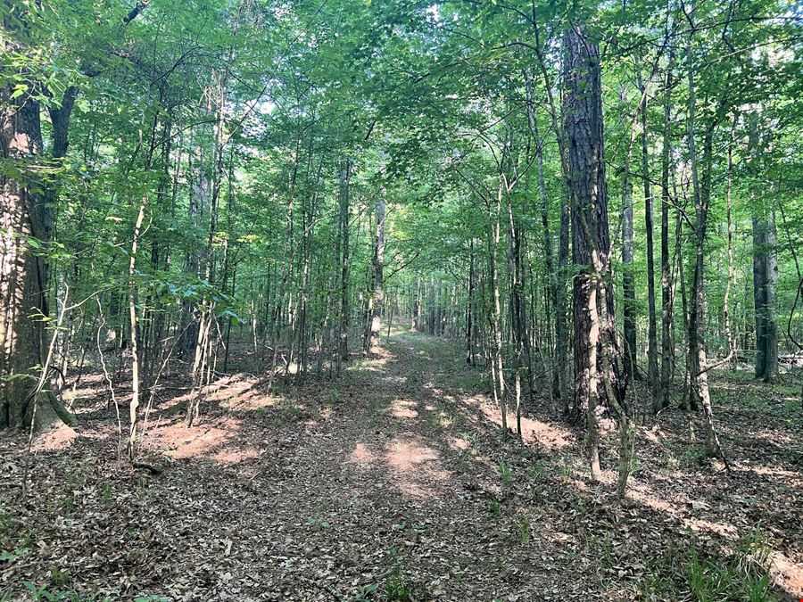 Mt. Willing Reserve