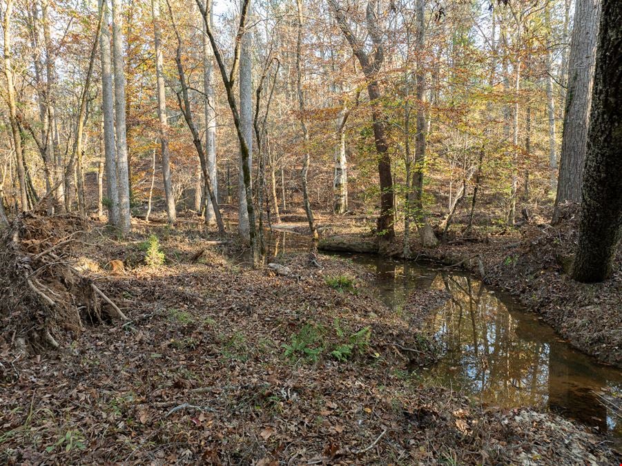 Puckett Ferry