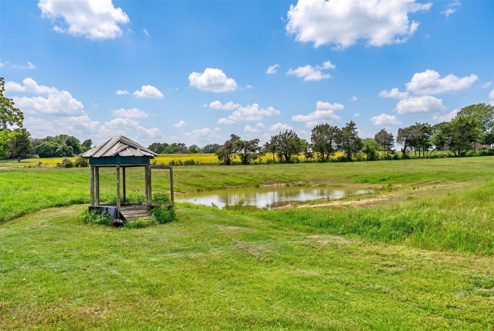LAND FOR SALE | 2586 FM 3456