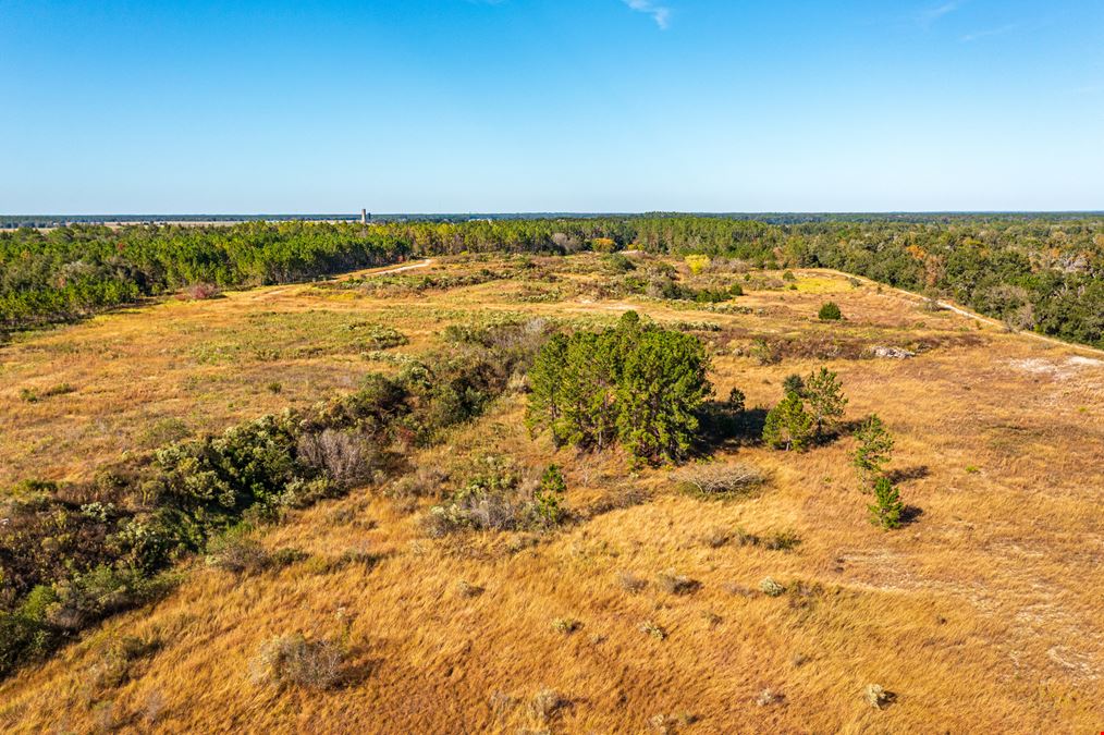 Archer 122 Acre Land Opportunity