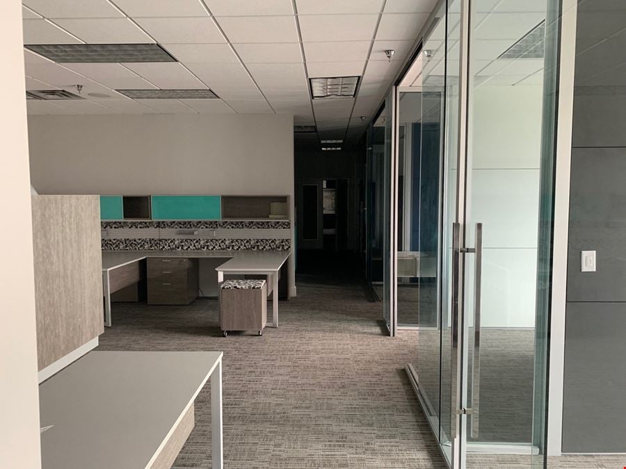 Professionally Managed Flex Space