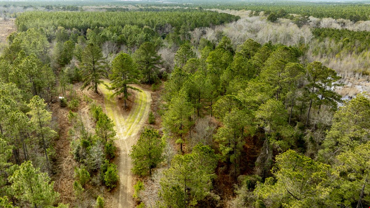 Telfair Tract 1