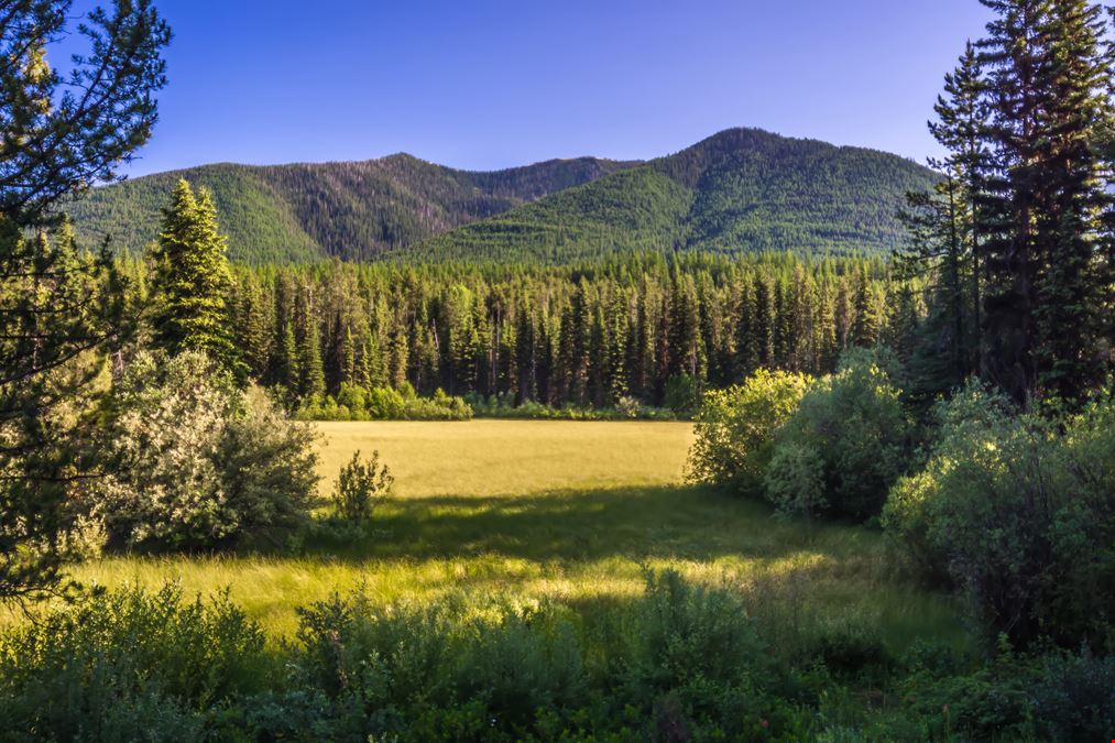 733 Unzoned Acres with Open Meadow Ground in Montana's Lone Lake Country
