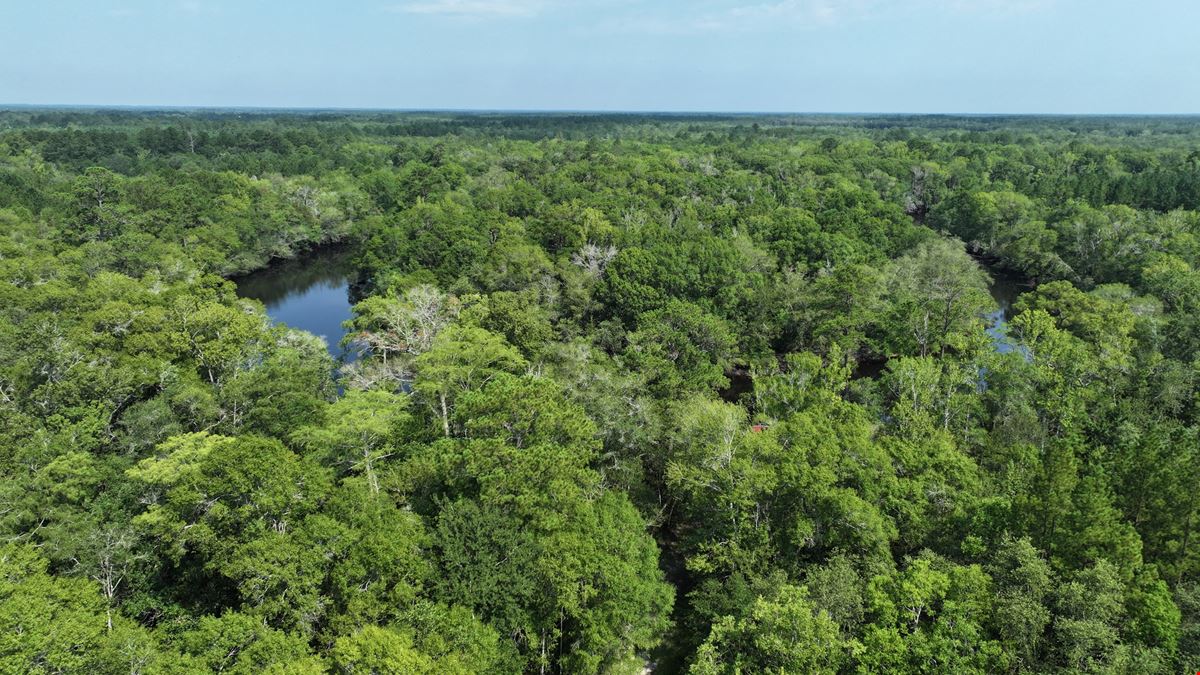 Satilla River Bottom Timberlands