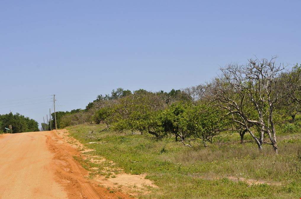 Garfield Nursery Road 20 Acres