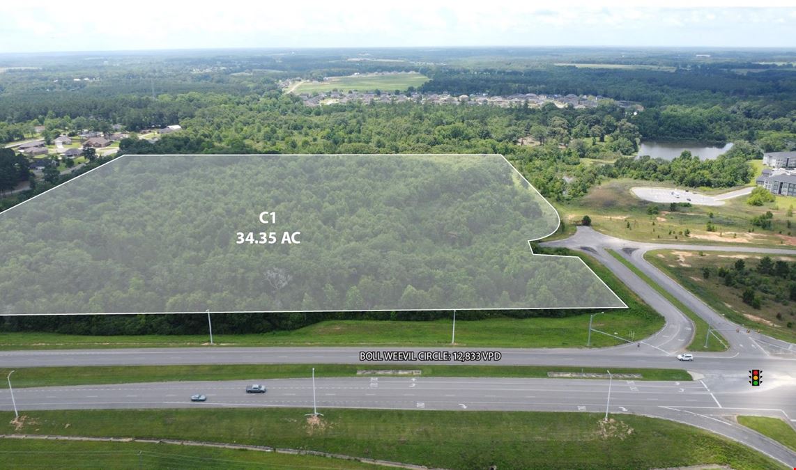 Camellia Commons- Land Available for Sale/Lease