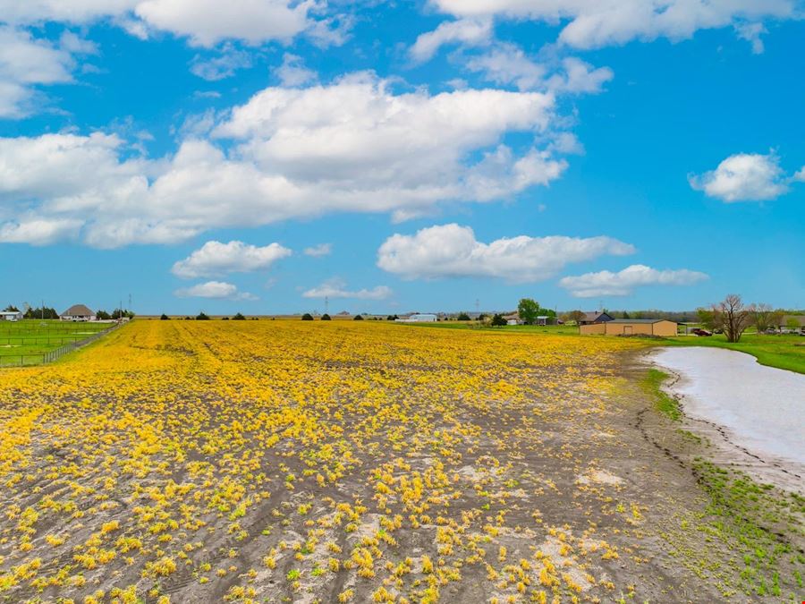Land for Sale in Nevada, TX