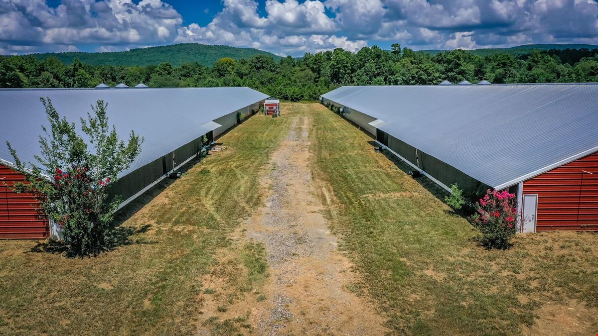 Mena AR Broiler Chicken Farm