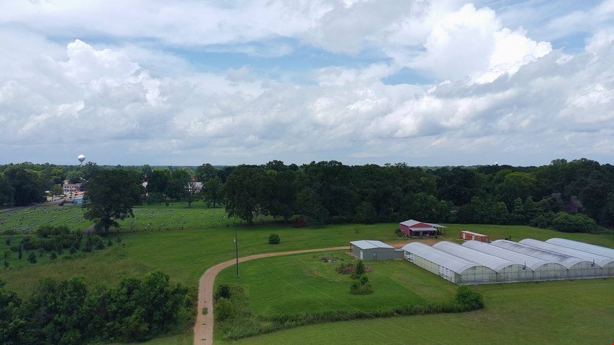 +/- 14.1 ac. Flora, MS