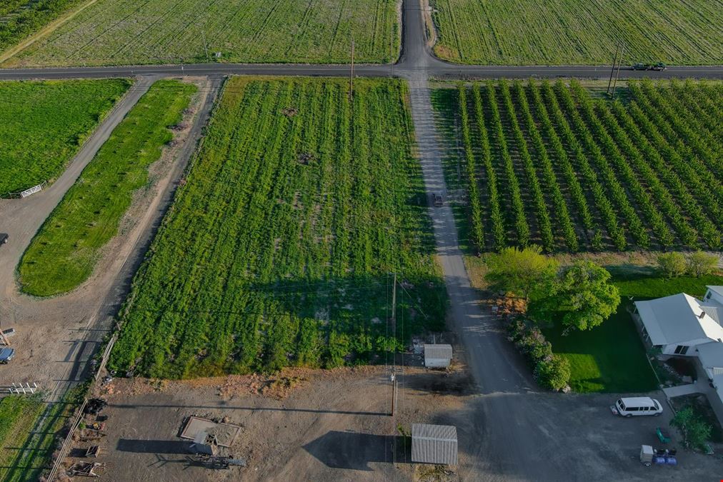 Benton Acord Orchard