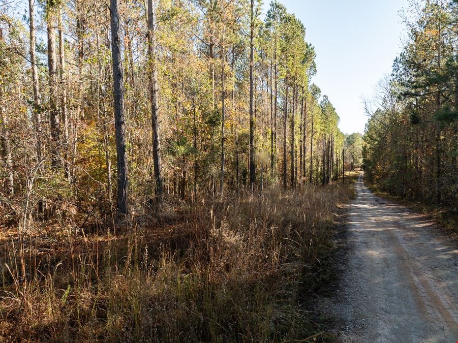 ± 10.16 Unrestricted Acres in Laurens, SC