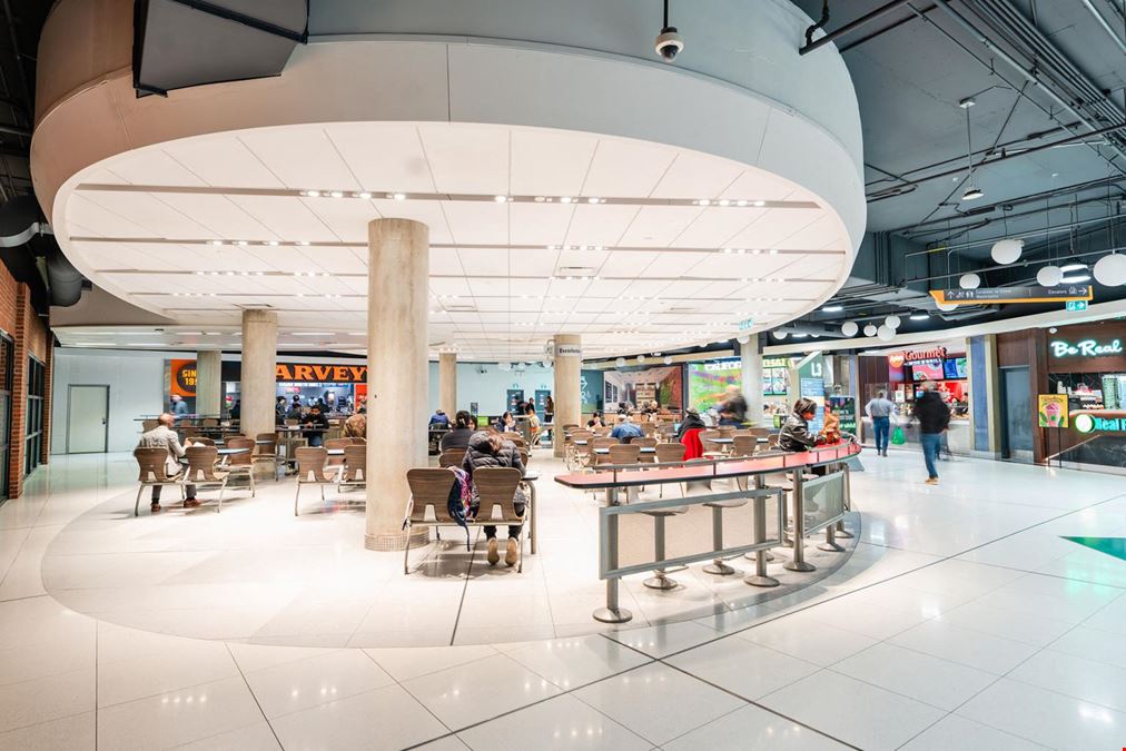 The Tenor - Retail