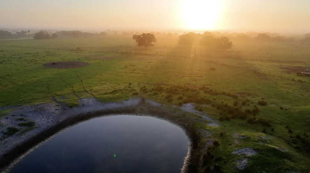 Palm Hammock Preserve