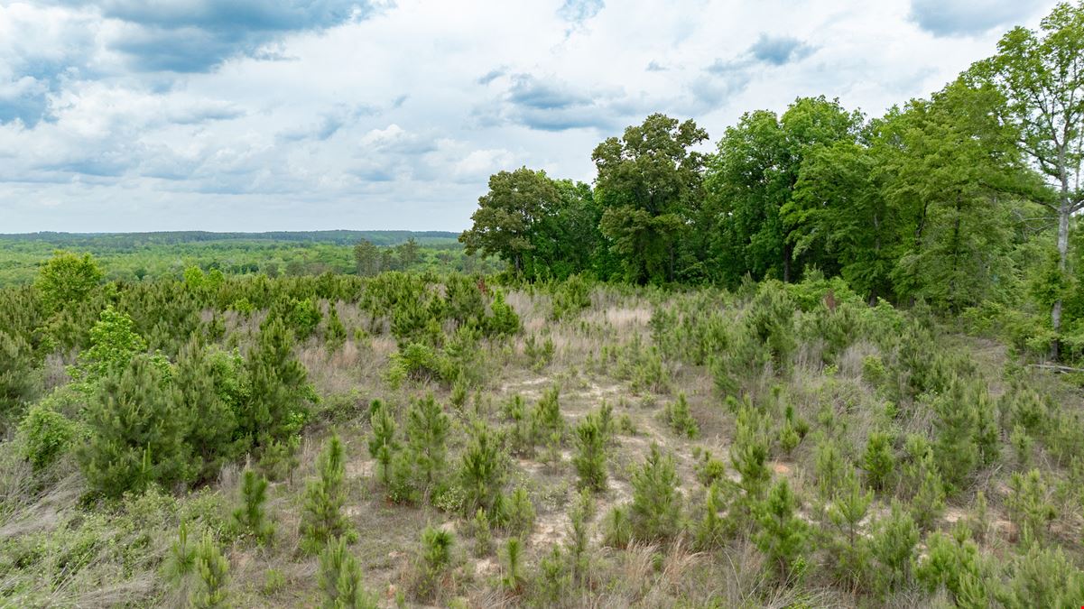 Buck Creek Hunting Property