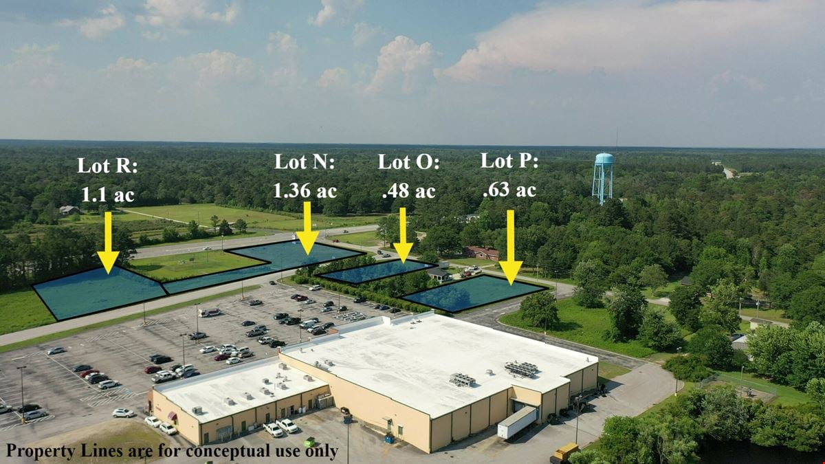 Food Lion Shopping Center Outparcels