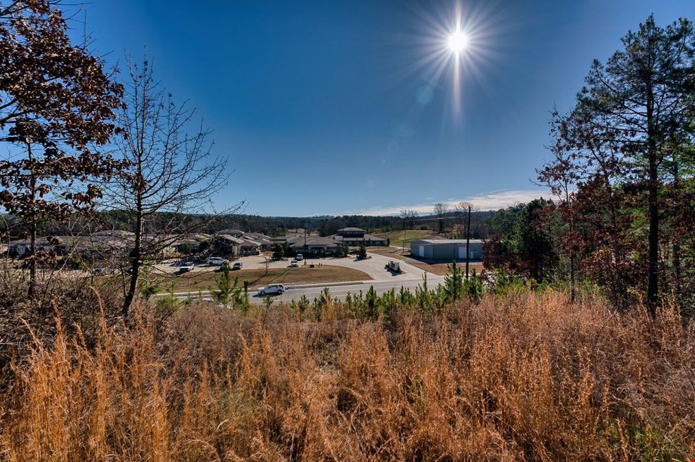 2600 Block Park Avenue, Lot 2L, Hot Springs, AR 71901