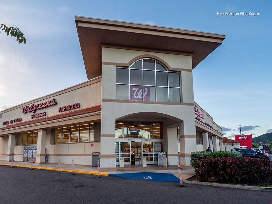 A-NNN Leased Retail Portfolio in Puerto Rico