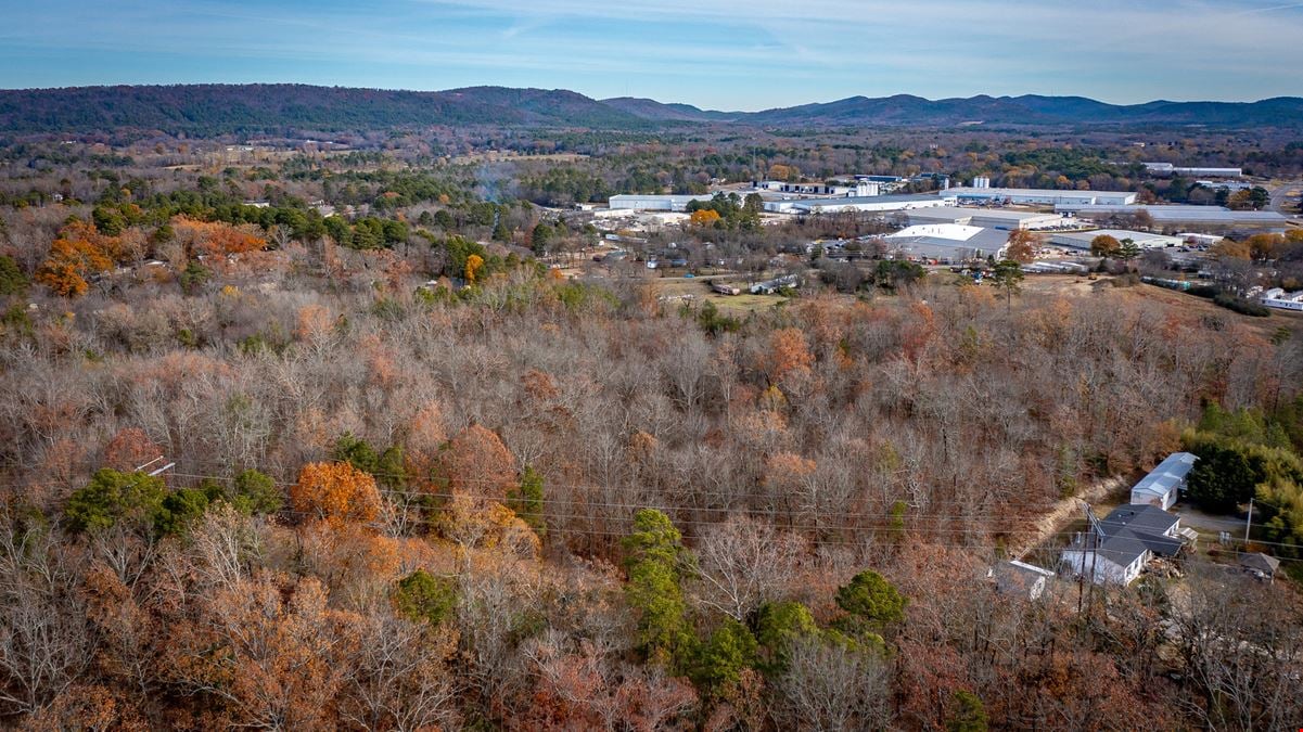 Mountain Pine Development Land