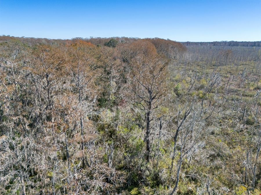 Leesburg 80-Acre Recreational Tract