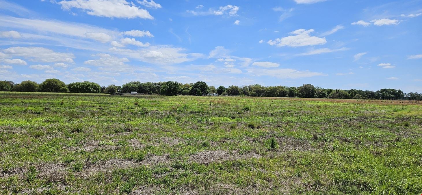 38± Acre Frostproof Grove | Residential Development or Agricultural Opportunity