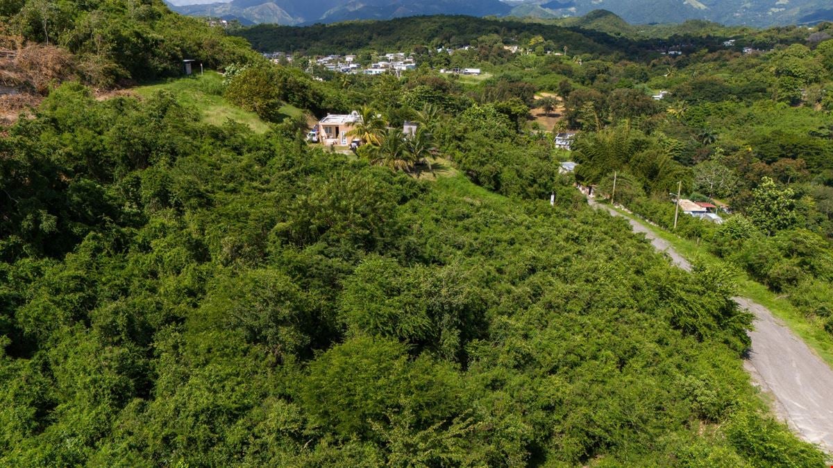18.36 Acre Agricultural Land @ Ponce, Canas Ward - For Sale