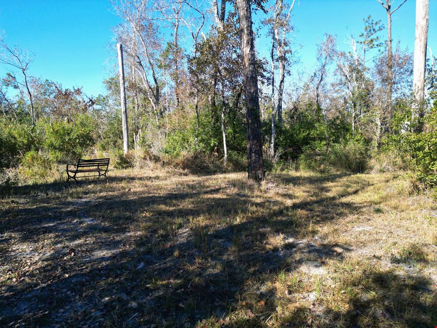 202 Acres in Northwest Florida –Timber, Hunting & Coastal Access