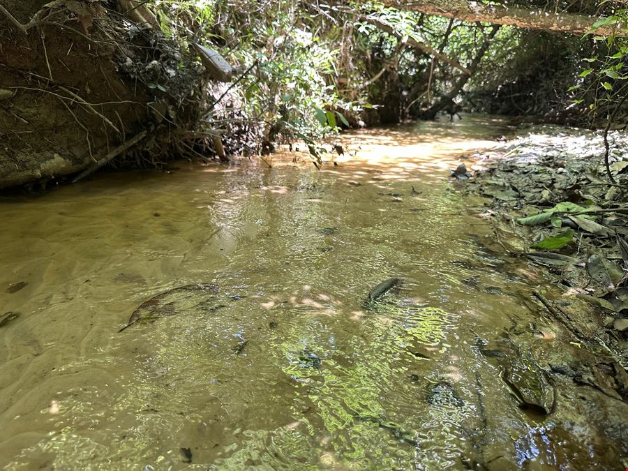 Cowpen Hunting Tract