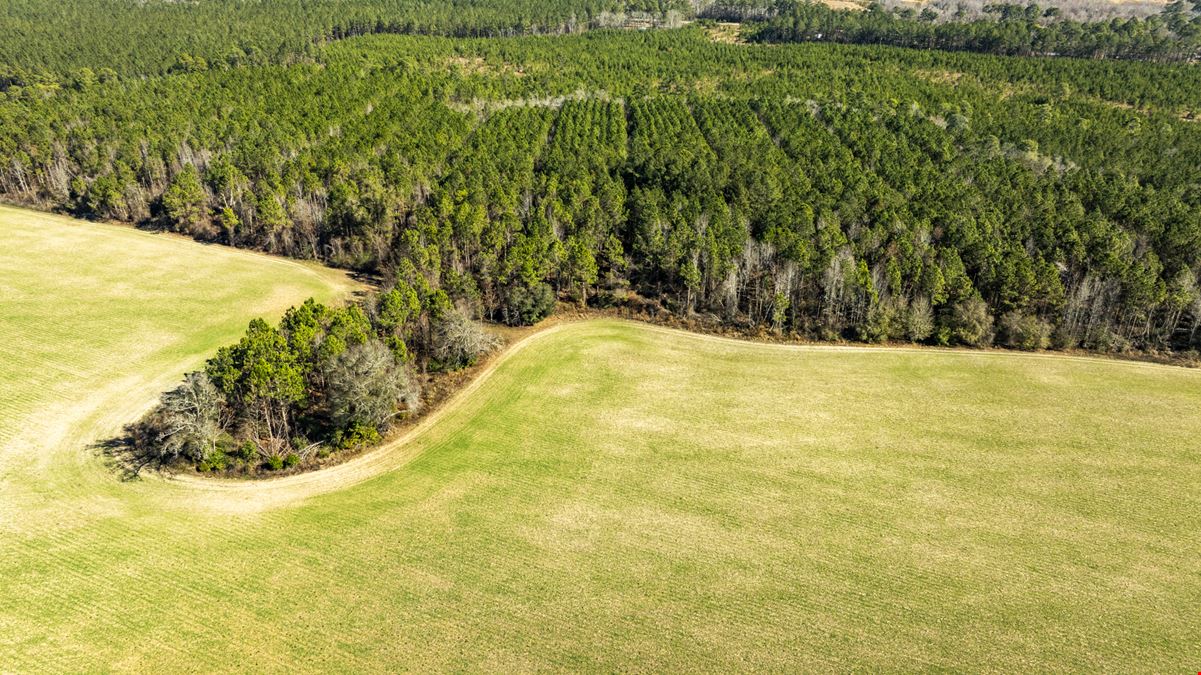 Quarterman Farm