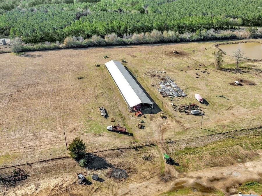 Breeder Farm In Marshall