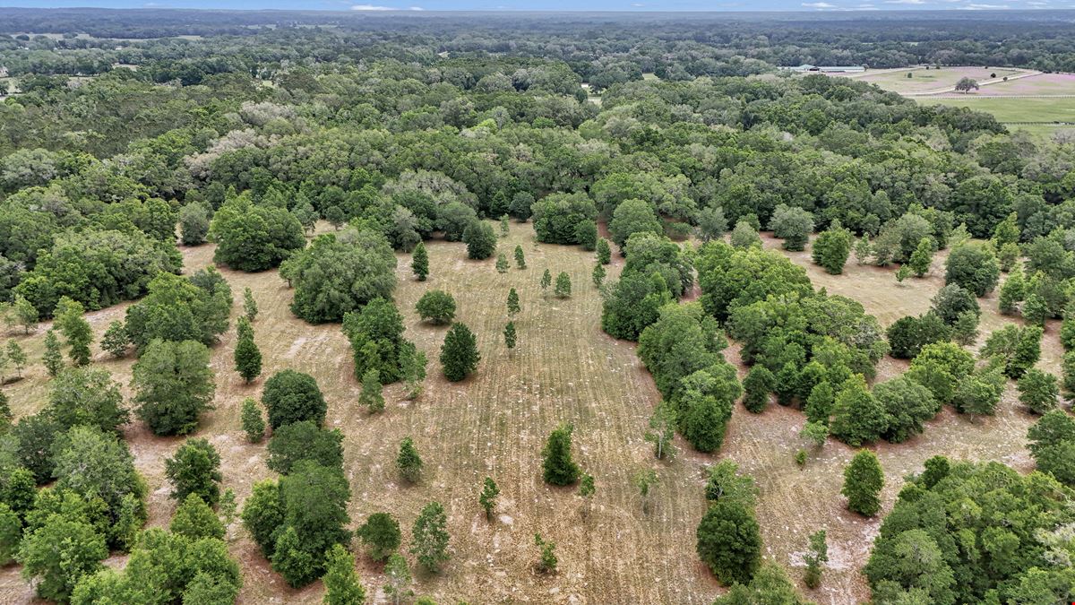 Williston 68 Acre Ranchette and Homesite