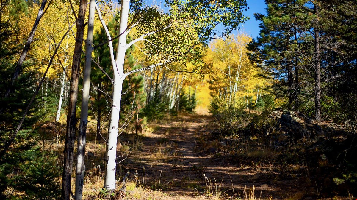 The Ranch at Angel Fire