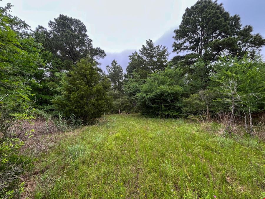 8 Ranchero Road