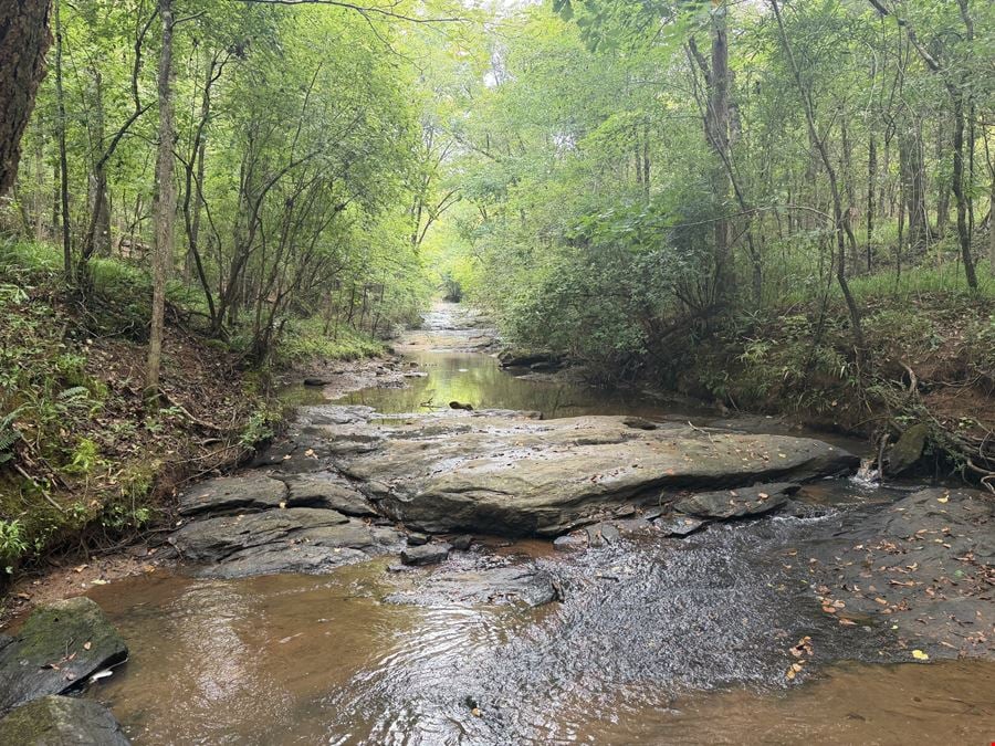 Dub Walker Rd - 314.47 Acres